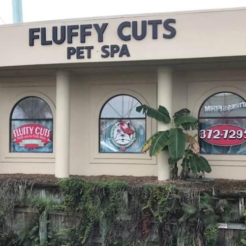 Window Graphics